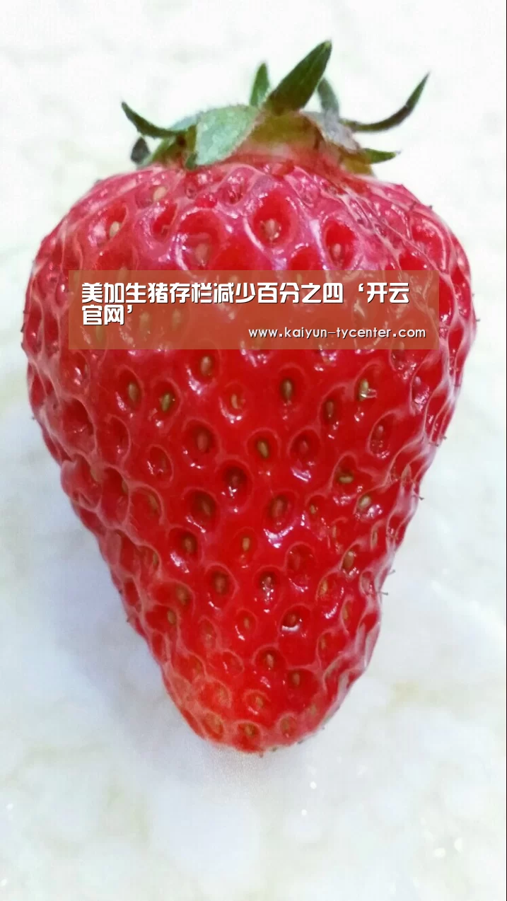 开云体育